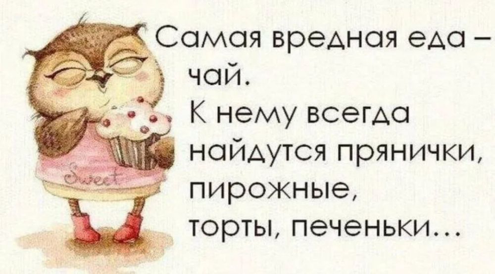 ������� �����. ��������� ���������-24