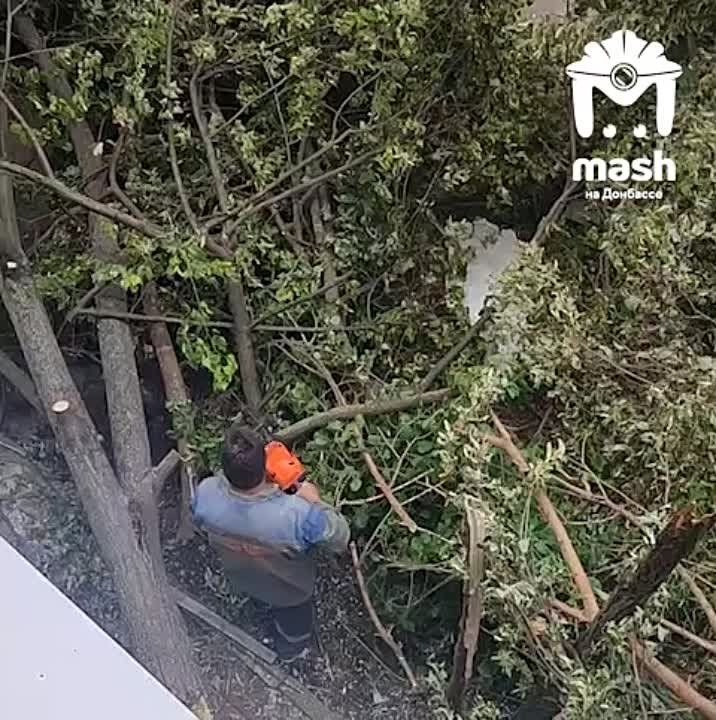 ����� ����� ���������� � ������� ���� �� �����������, ������� ��� ��� ����� ������ �������� �����, �������� �������
