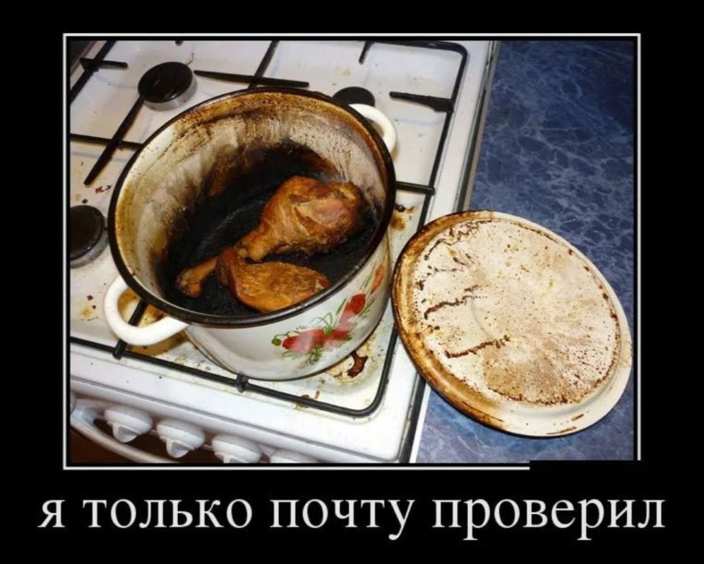 ������� �����. ��������� ���������-24