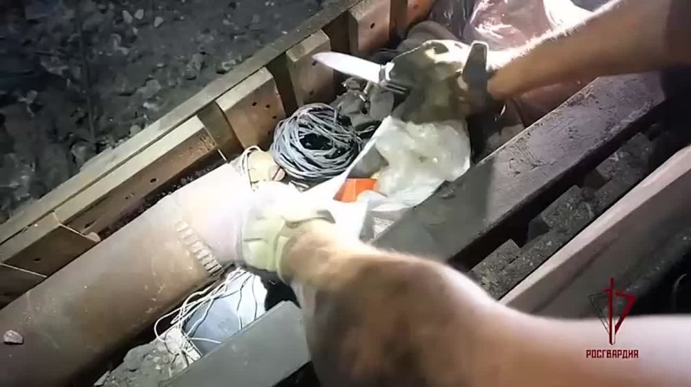������������ ����� ����� � ���������� ������� � �������� � �������� ���������