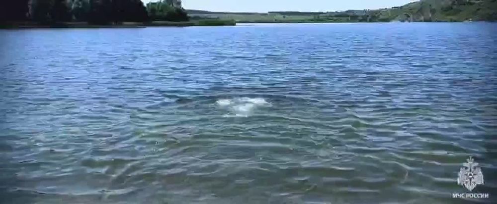 ���� ������ �� �������. ��� ������ ����������, ��� ��������� ��������� ����� �� ����: �� �������� ����� ��� ���������;
