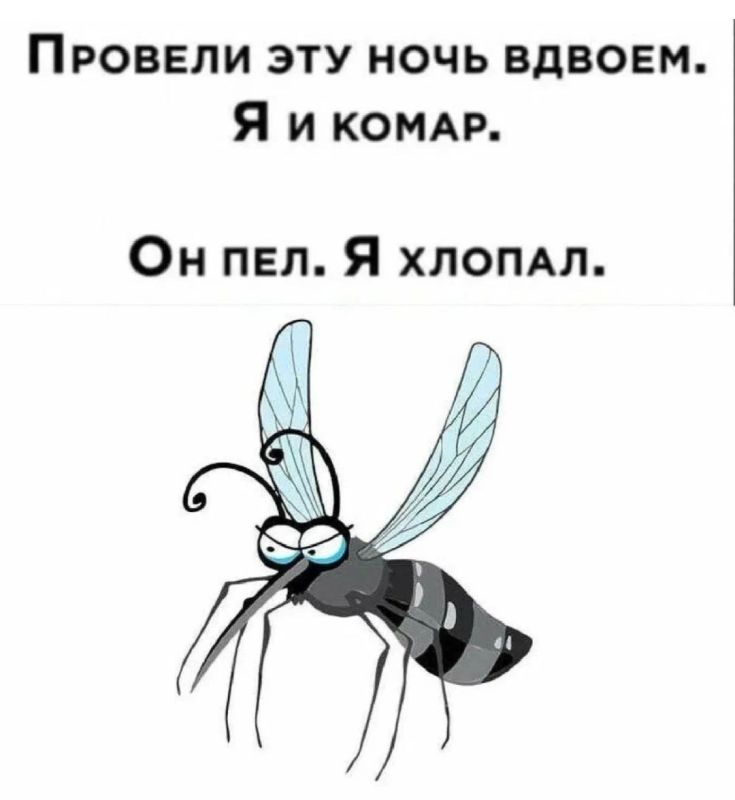 ������� �����. ��������� ���������-24