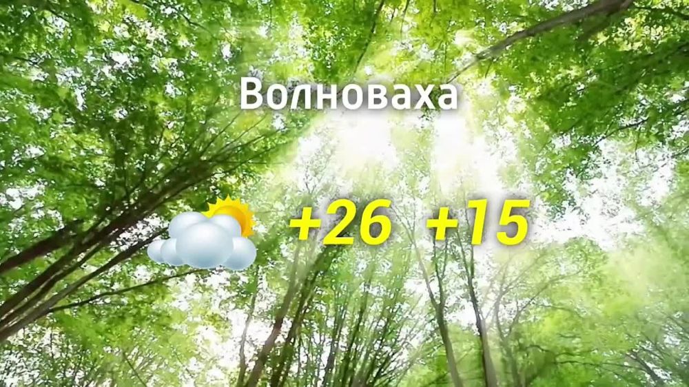 ������� ������ �� 31.07.2024