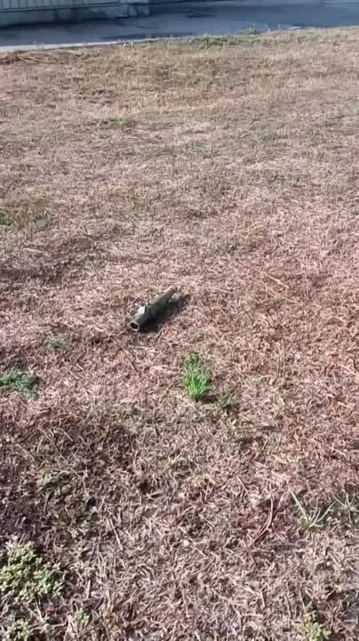 �������� ������ ���������� ������������ � ���������������� ������ "�����" � ���������� ������ ������� �������...