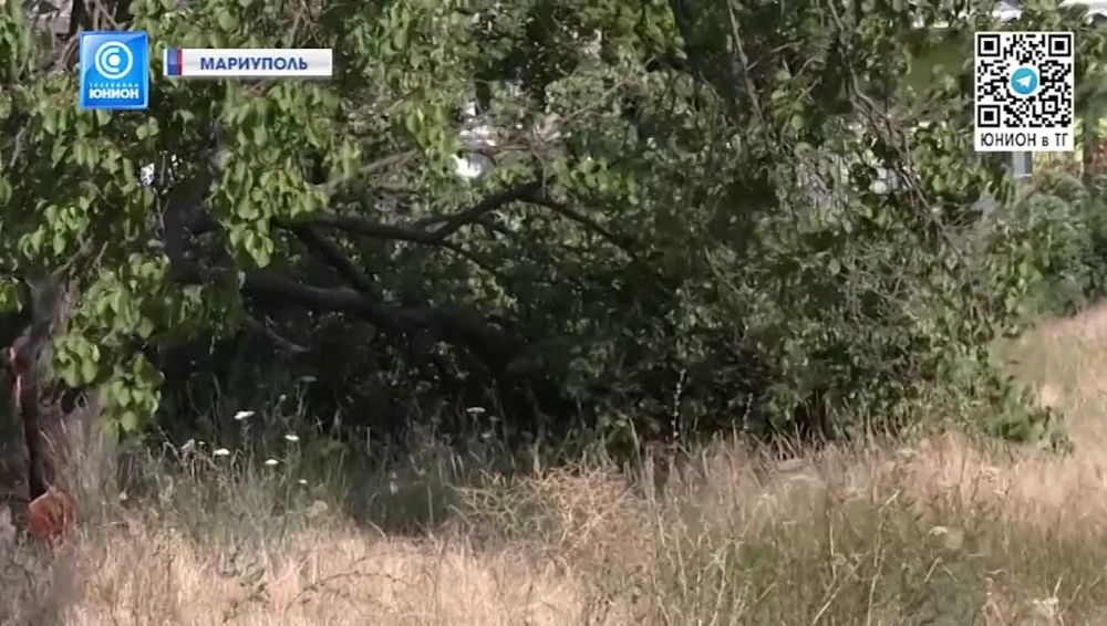 ������� ������� � ���������! ��������� ������, �������� �����, ���������� ���������: ���� ������ ���������������� ���������� �������