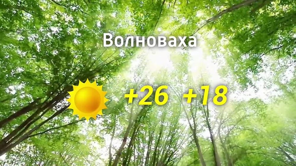 ������� ������ �� 13.08.2024