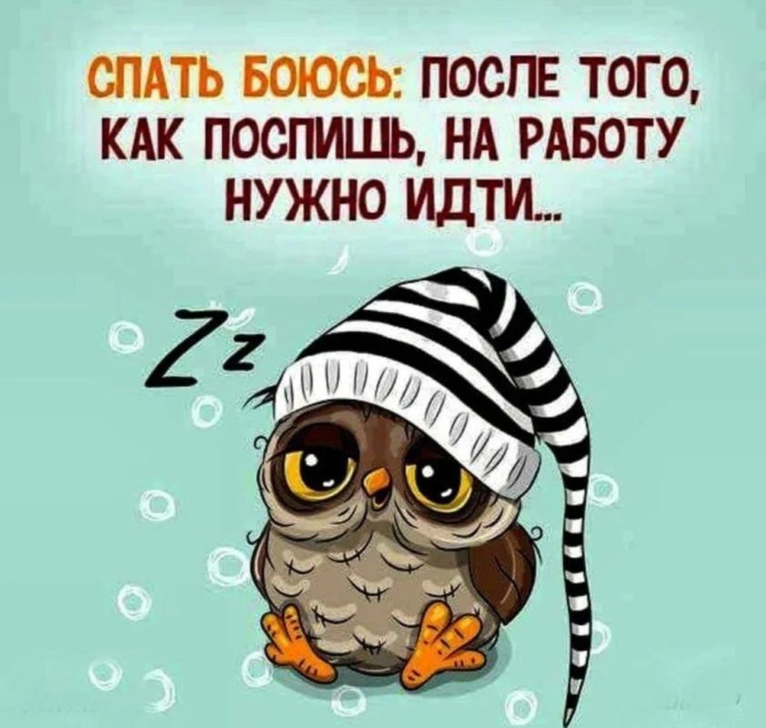 ������� �����. ��������� ���������-24
