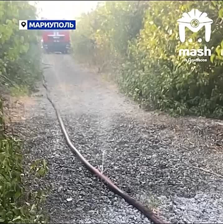 ����� ����� ���������� � ���������, ����� ����������� �� ����