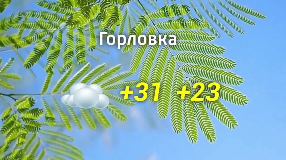 ������� ������ �� 30.08.2024