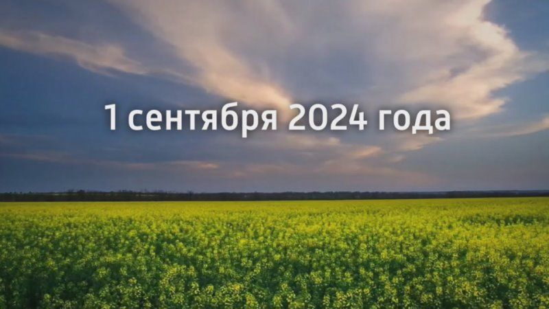 ������� ������ �� 01.09.2024