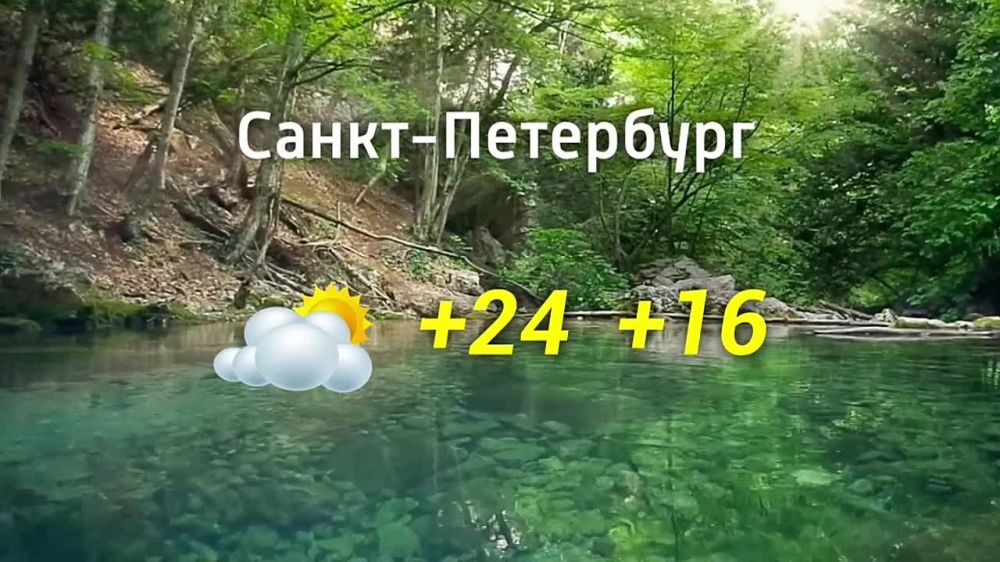������� ������ �� 04.09.2024