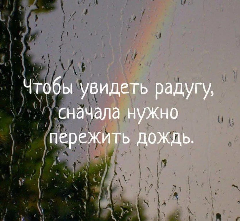 ������ �����. ��������� ���������-24