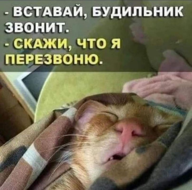 ������� �����. ��������� ���������-24