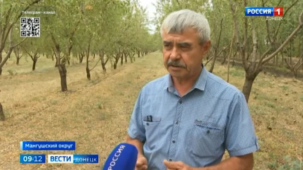 ���������-�������� ��� �������� ����� 150 �������� ��� ���������� � ������������ ����������� ����������, ������� ���������� �������