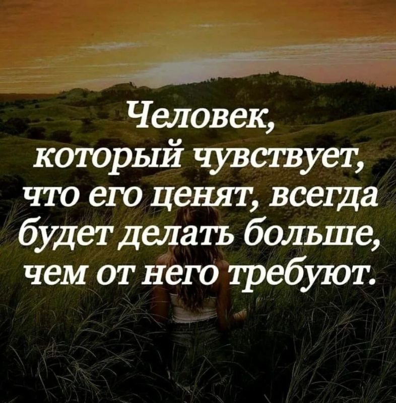 ������ �����. ��������� ���������-24