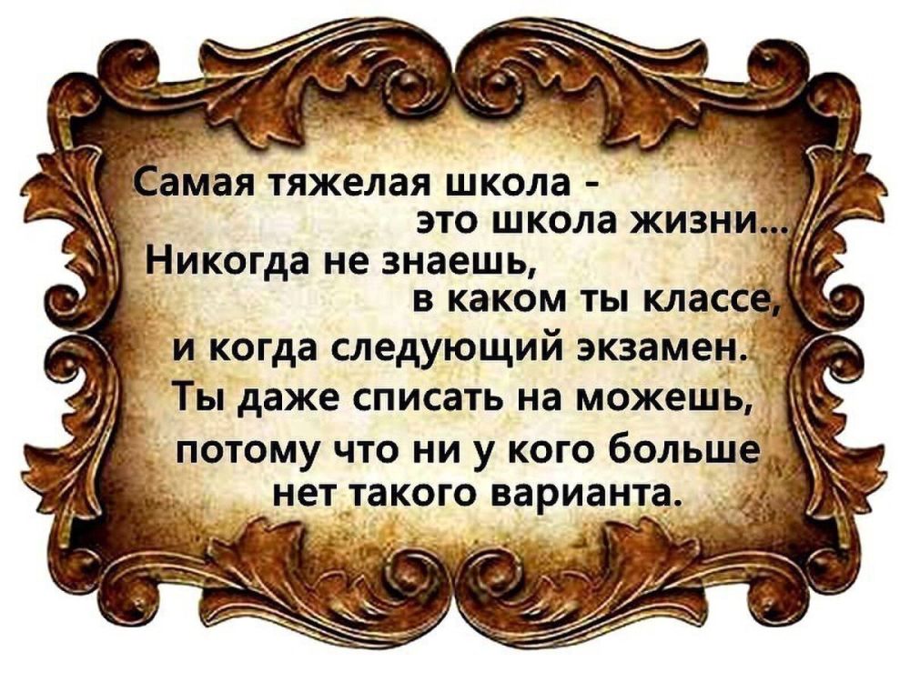 ������ �����. ��������� ���������-24