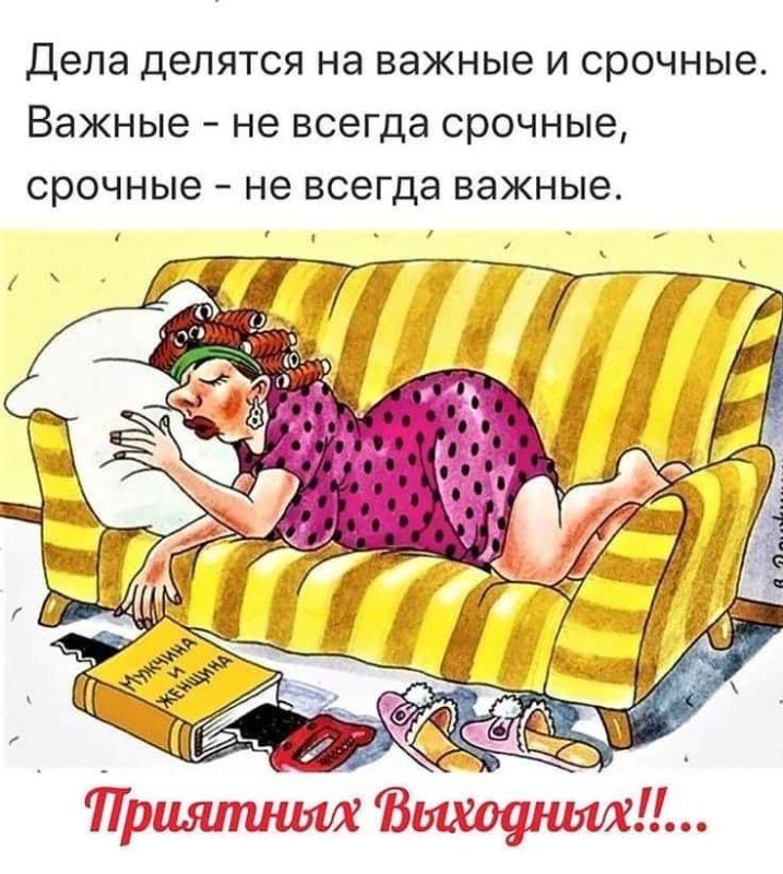 ������� �����. ��������� ���������-24