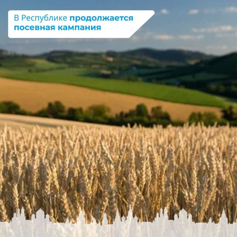 � ���������� ������������ �������� ��������