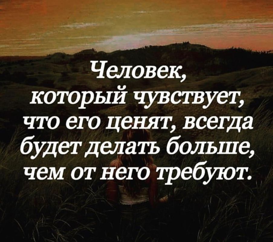 ������ �����. ��������� ���������-24