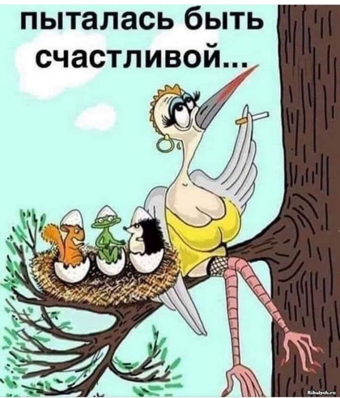 ������� �����. ��������� ���������-24