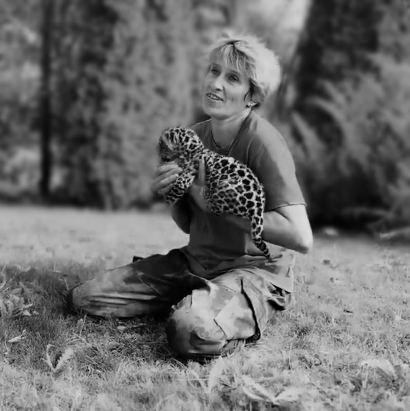 ������ � ���������� ������� �������� ����������, �������� � �������� ����� �����