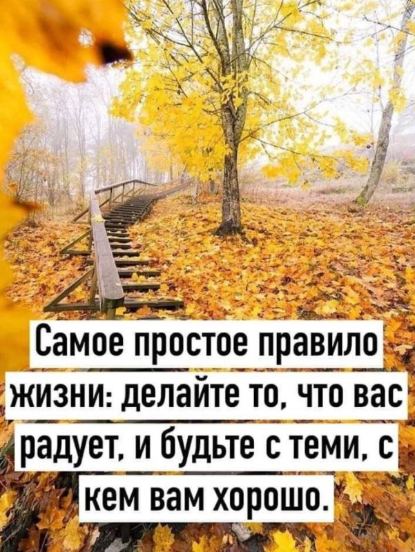 ������ �����. ��������� ���������-24