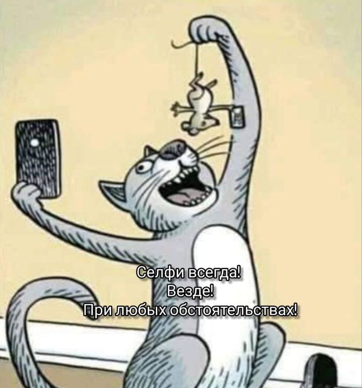 ������� �����. ��������� ���������-24