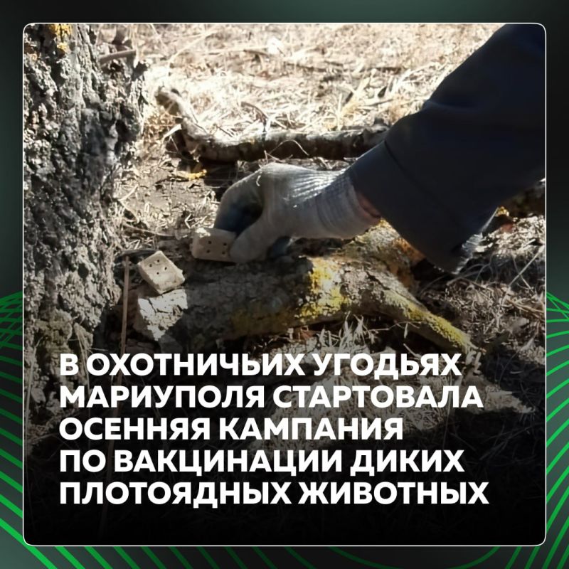 � ���������� ������� ��������� ���������� ������� �������� �� ���������� ����� ���������� ��������