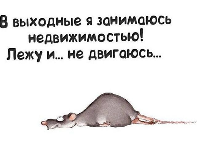 ������� �����. ��������� ���������-24