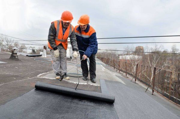 ���� �������� ���������� ������� �� ��������� ������ �������� �������� ���������� �� ���������� ������������ ������� ��������������� �����