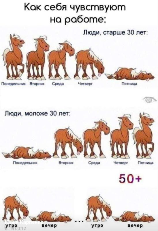 ������� �����. ��������� ���������-24