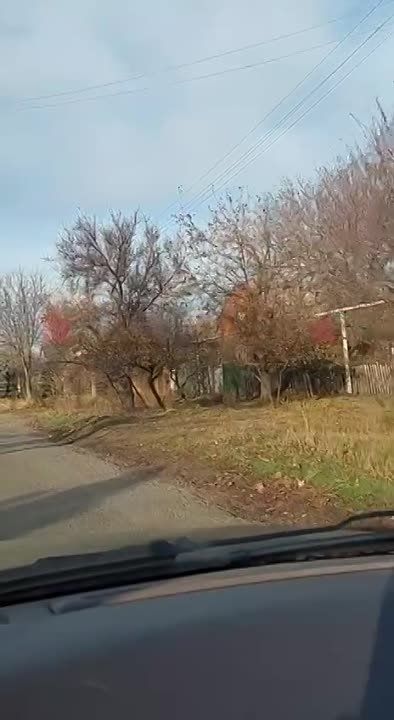 ��� ������: �������� (�������������)