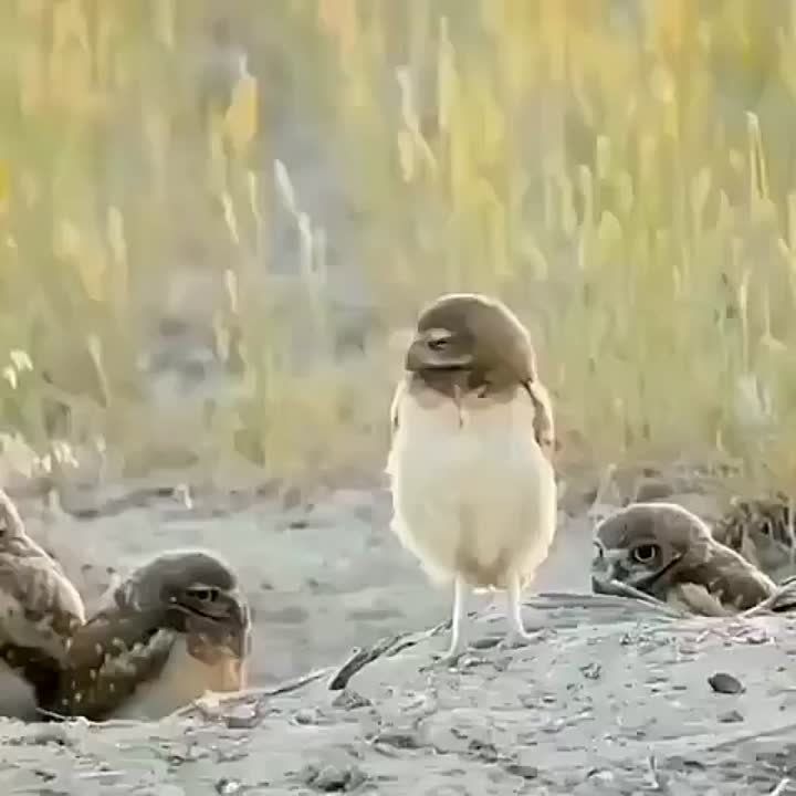 � ������ �����, ���������!