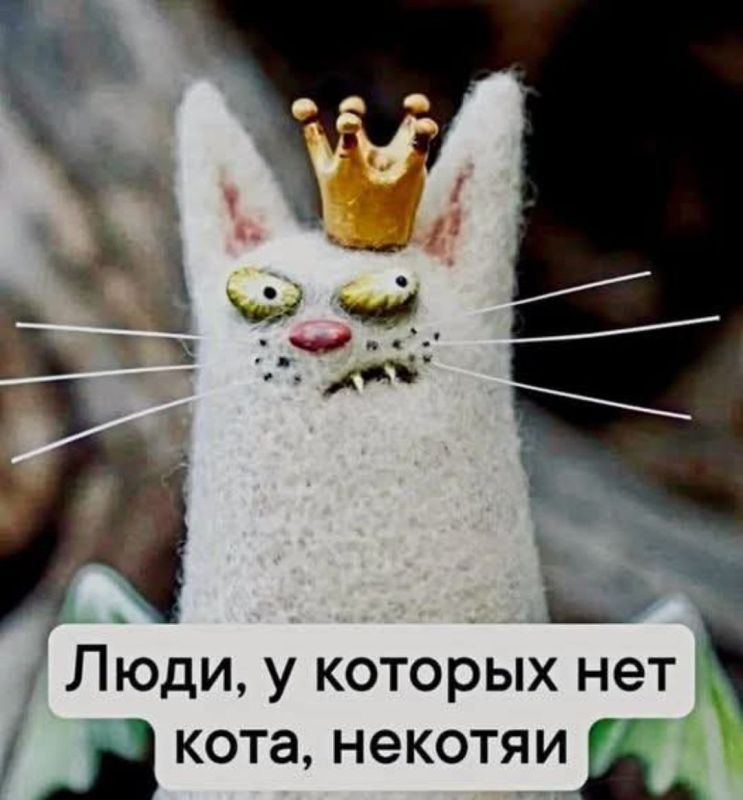 ������� �����. ��������� ���������-24