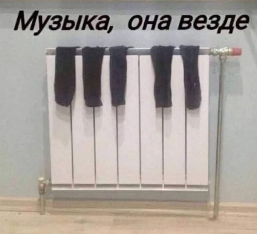 ������� �����. ��������� ���������-24