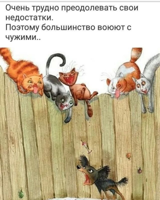 ������ �����. ��������� ���������-24