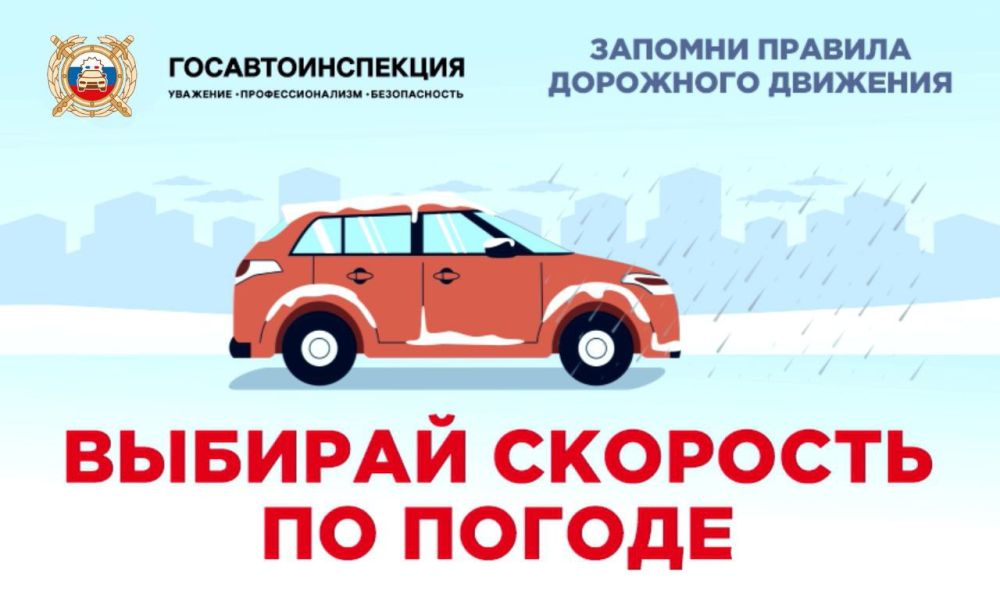 ������ ����, ������. �������� 6-������� ������� ������ � ���, ����������, ��������� �� ������������� �������� ����� �� �������, � ����� ����� ����� �������, ����������� ��������� �������� �������� ����� �� ������ � 90%...