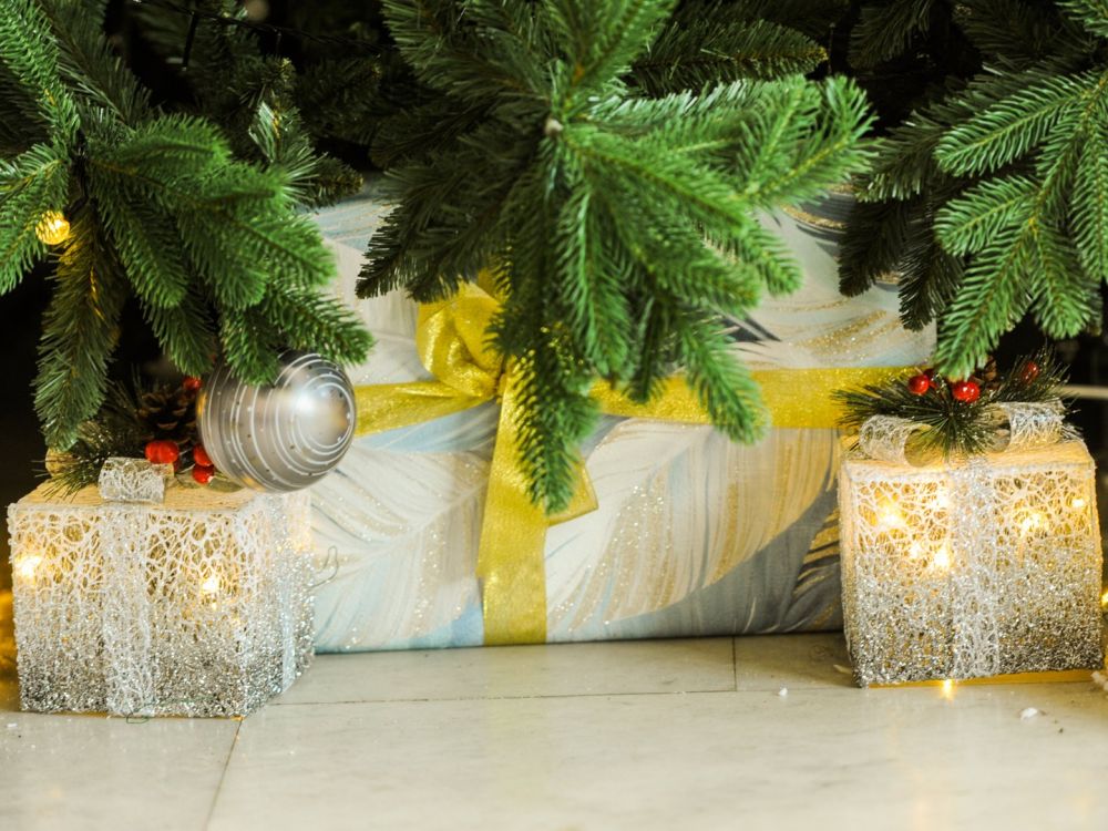 ����� ��� �� ������ �������� ���������� ����� 5-������� �������� �� ���������. �����