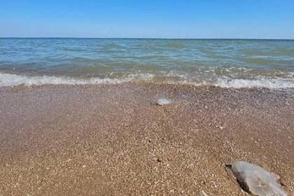 � ��� �� ���������� ������ ������ � ��������� ��������� ����
