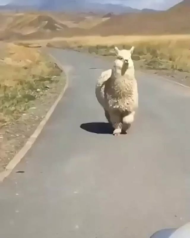� ������ �����, ���������!