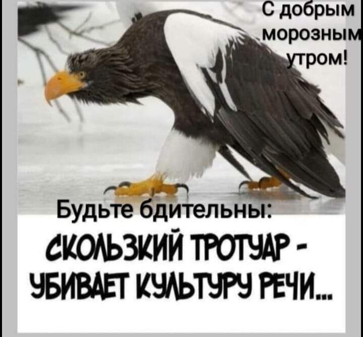������� �����.