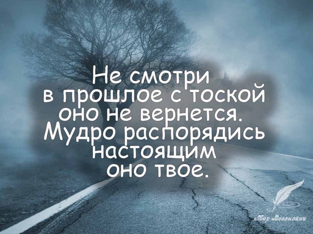 ������ �����. ��������� ���������-24