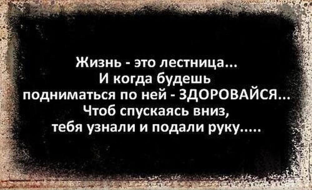 ������ �����. ��������� ���������-24