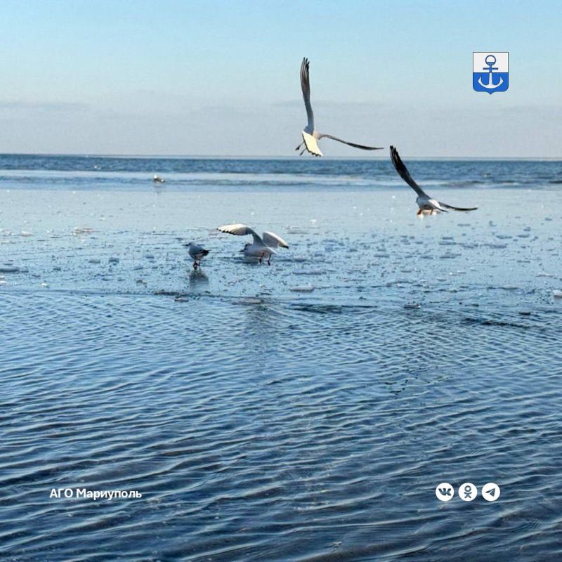 � �������, 27 �������, � ��������� ���������� ����� � ����� ������