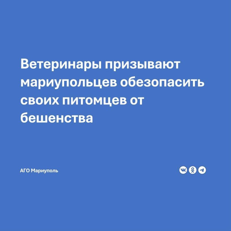 � ������ ���������� ����������� ��������� ���������� ���������� �������� �������� ������ ���������