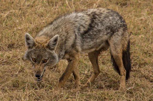 � ��������� ������ � ���������� ������ ���������� ������ ��������� ����������� �������