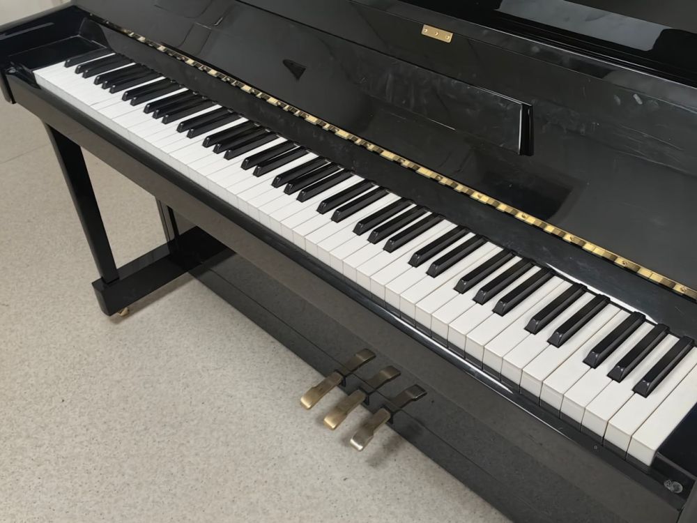 Музыкальный проект "Чистая классика" объединит таланты Крыма и Донбасса