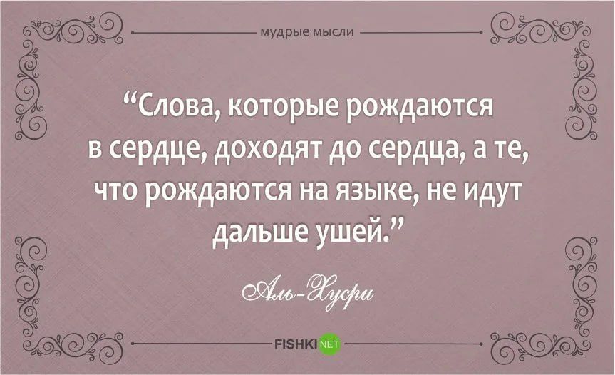 ������ �����. ��������� ���������-24