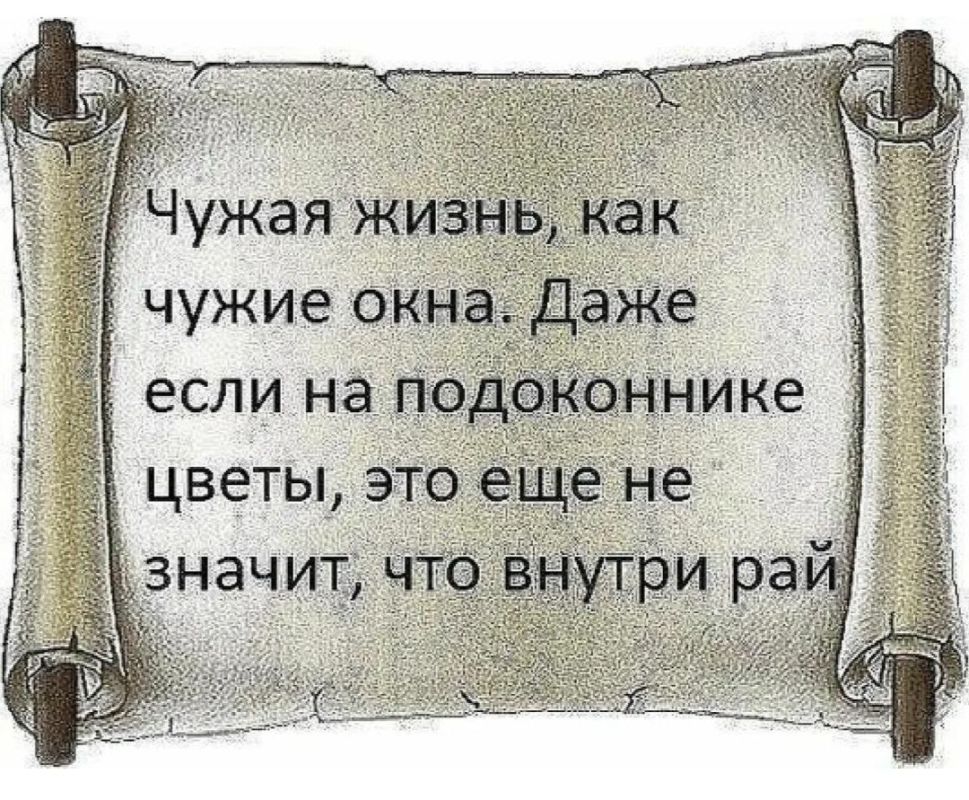 ������ �����. ��������� ���������-24