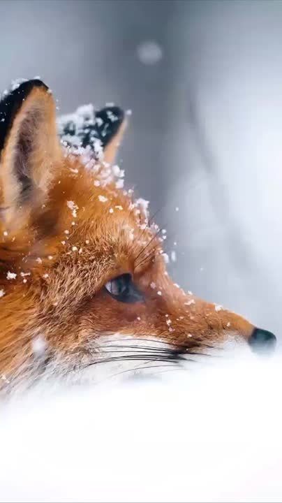  , !